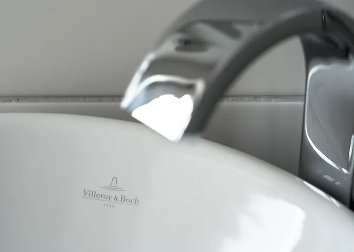 Baeren 3* 欧博比皮